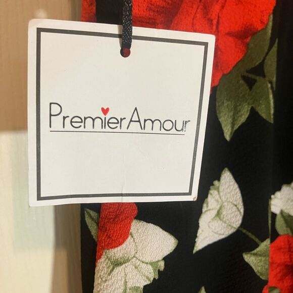 Premier Amour NWT, asymmetrical dress, cloth buttons, shoulder cut out, size 8 - Picture 3 of 5